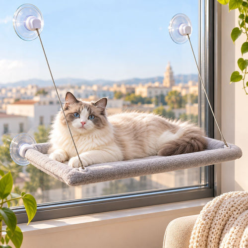 Gato tumbado en la hamaca de ventana LaMiauu con ventosas